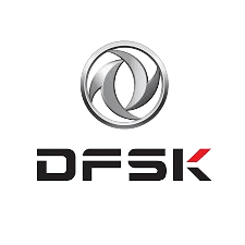 dfsk